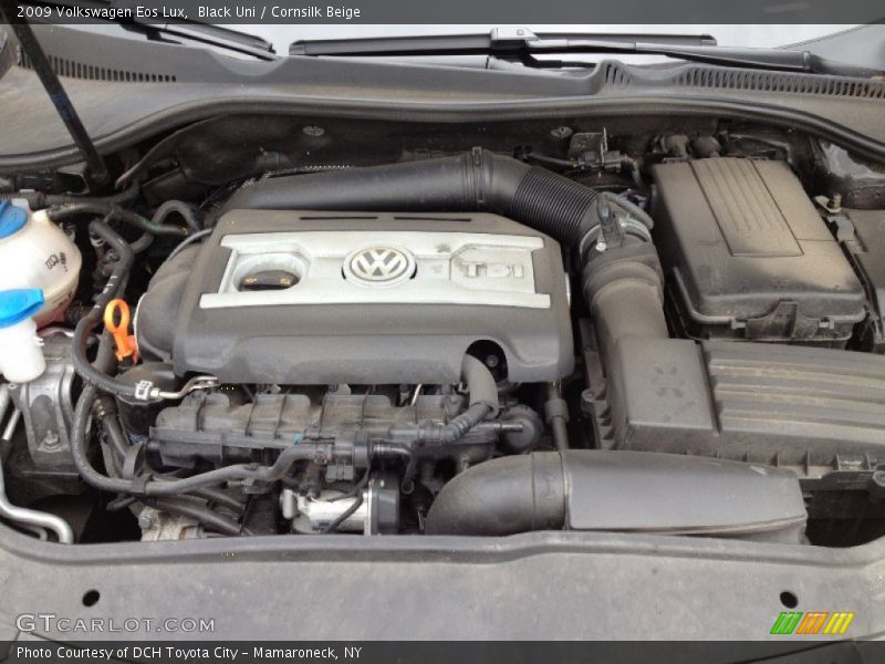 Black Uni / Cornsilk Beige 2009 Volkswagen Eos Lux
