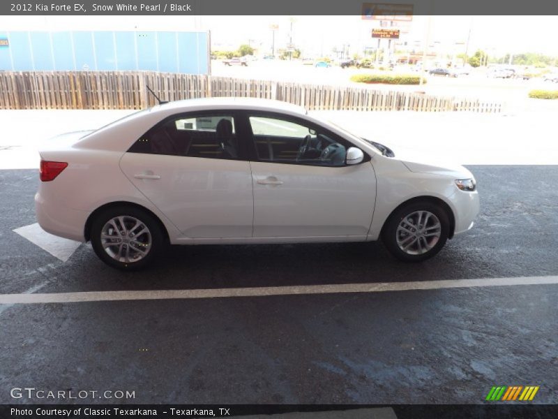 Snow White Pearl / Black 2012 Kia Forte EX