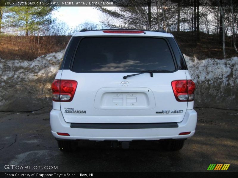Natural White / Light Charcoal 2006 Toyota Sequoia SR5 4WD
