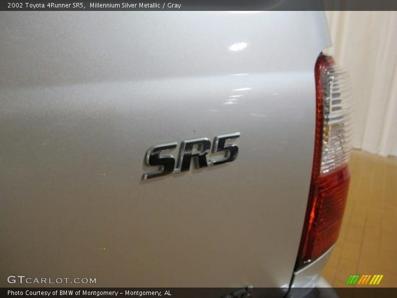 Millennium Silver Metallic / Gray 2002 Toyota 4Runner SR5