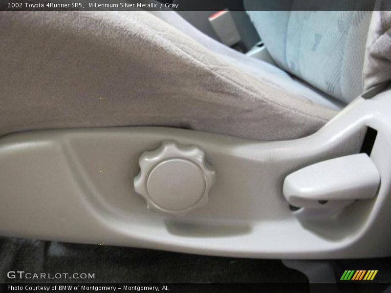 Millennium Silver Metallic / Gray 2002 Toyota 4Runner SR5