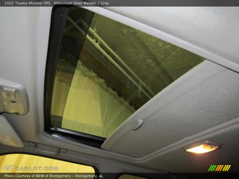 Millennium Silver Metallic / Gray 2002 Toyota 4Runner SR5