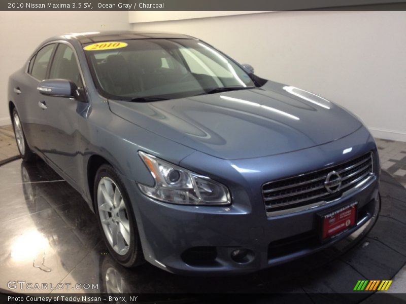 Ocean Gray / Charcoal 2010 Nissan Maxima 3.5 SV