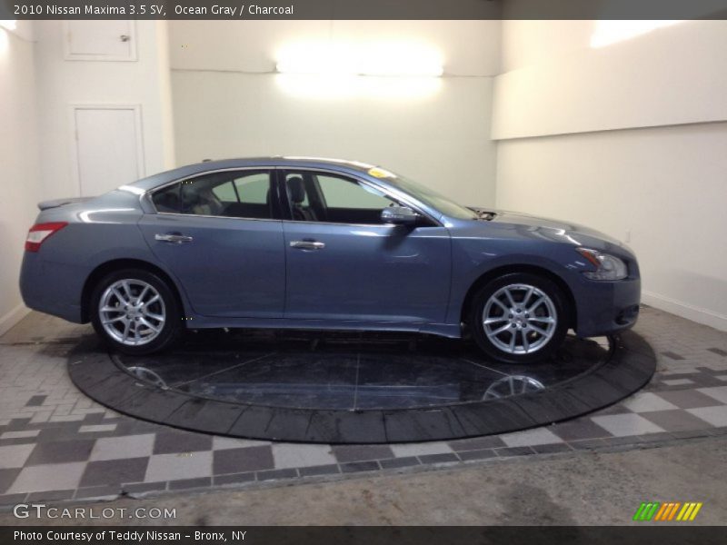 Ocean Gray / Charcoal 2010 Nissan Maxima 3.5 SV