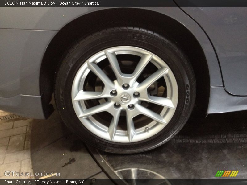 Ocean Gray / Charcoal 2010 Nissan Maxima 3.5 SV