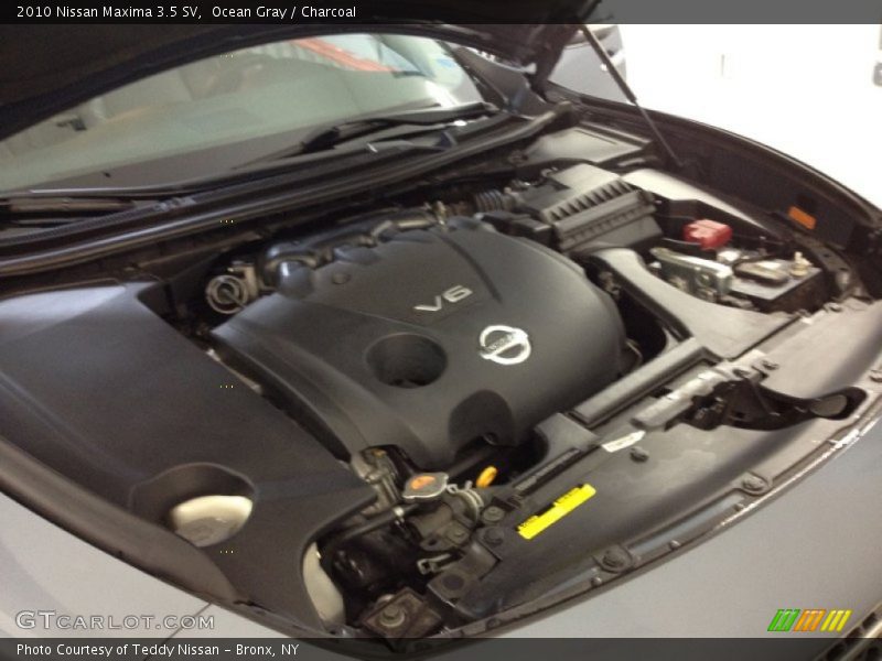 Ocean Gray / Charcoal 2010 Nissan Maxima 3.5 SV