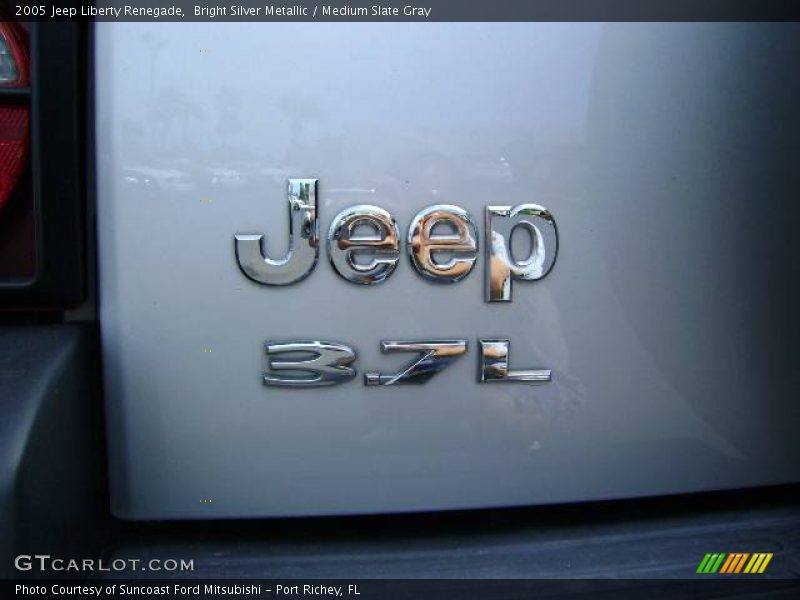 Bright Silver Metallic / Medium Slate Gray 2005 Jeep Liberty Renegade