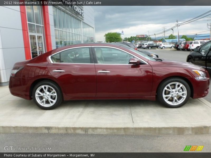 Tuscan Sun / Cafe Latte 2012 Nissan Maxima 3.5 SV Premium