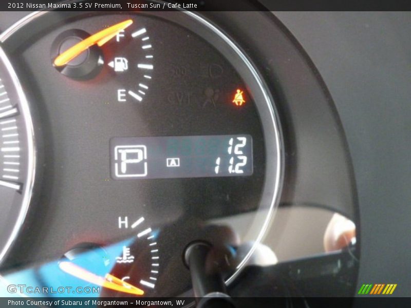 Tuscan Sun / Cafe Latte 2012 Nissan Maxima 3.5 SV Premium