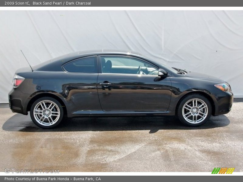 Black Sand Pearl / Dark Charcoal 2009 Scion tC