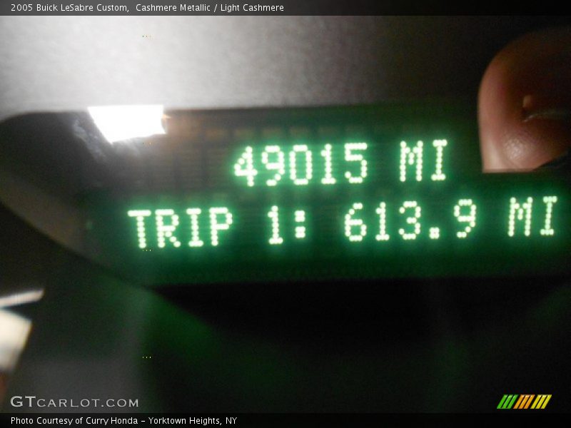 Cashmere Metallic / Light Cashmere 2005 Buick LeSabre Custom