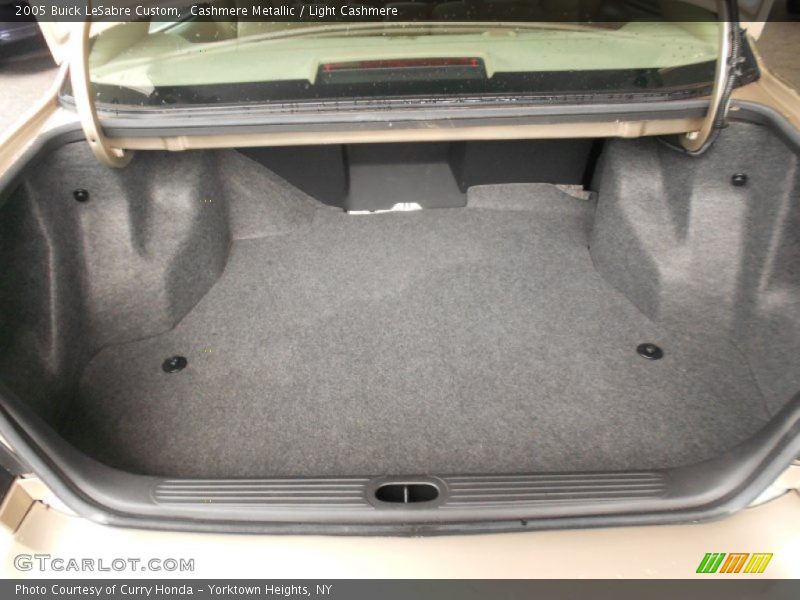 Cashmere Metallic / Light Cashmere 2005 Buick LeSabre Custom