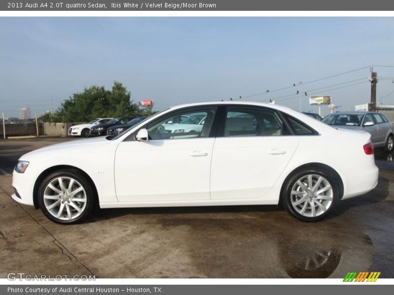 Ibis White / Velvet Beige/Moor Brown 2013 Audi A4 2.0T quattro Sedan