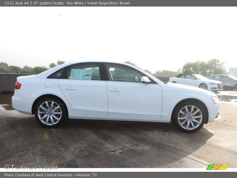 Ibis White / Velvet Beige/Moor Brown 2013 Audi A4 2.0T quattro Sedan