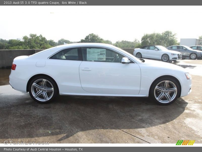 Ibis White / Black 2013 Audi S5 3.0 TFSI quattro Coupe