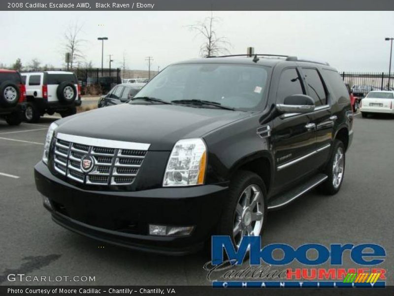 Black Raven / Ebony 2008 Cadillac Escalade AWD