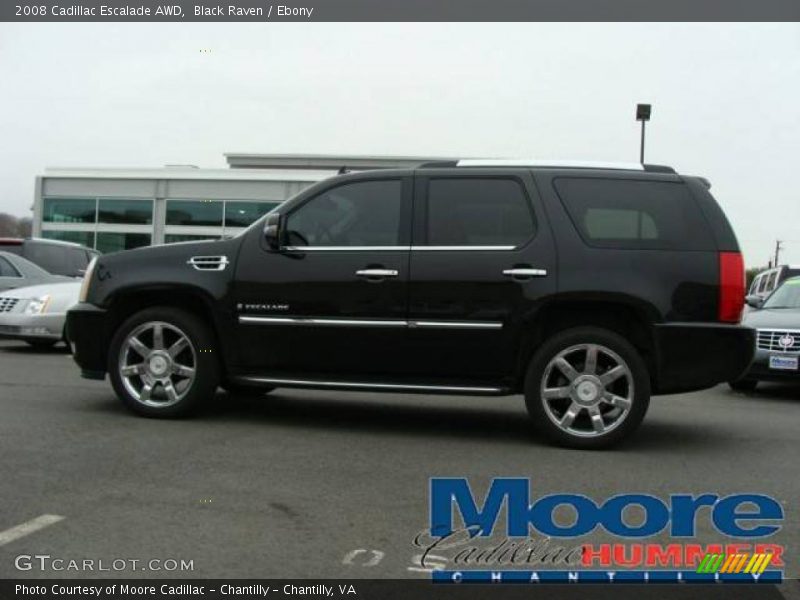 Black Raven / Ebony 2008 Cadillac Escalade AWD