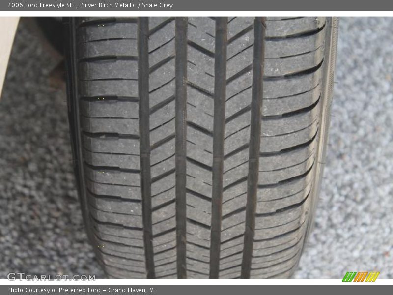 Silver Birch Metallic / Shale Grey 2006 Ford Freestyle SEL