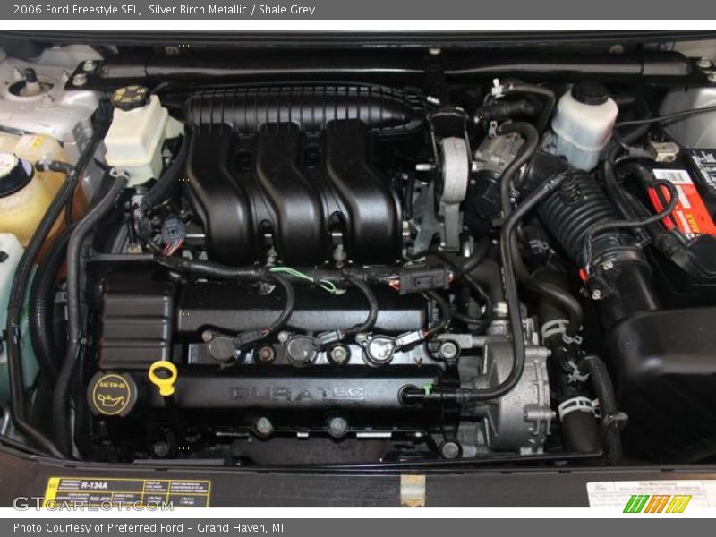 Silver Birch Metallic / Shale Grey 2006 Ford Freestyle SEL