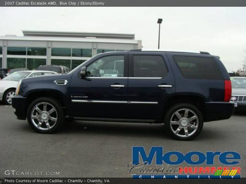 Blue Chip / Ebony/Ebony 2007 Cadillac Escalade AWD