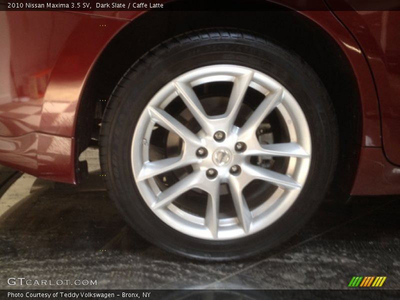 Dark Slate / Caffe Latte 2010 Nissan Maxima 3.5 SV
