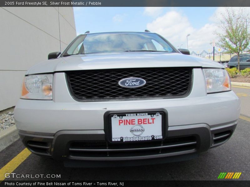 Silver Frost Metallic / Pebble 2005 Ford Freestyle SE