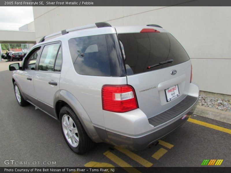 Silver Frost Metallic / Pebble 2005 Ford Freestyle SE