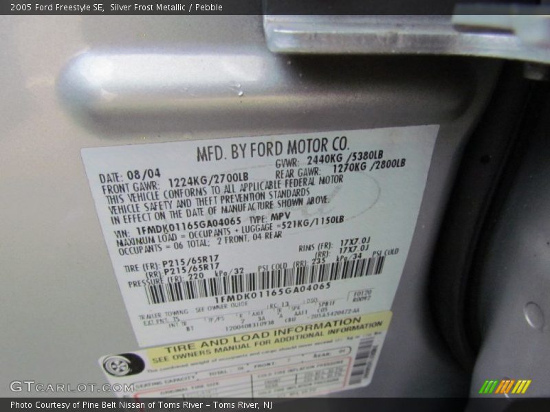 2005 Freestyle SE Silver Frost Metallic Color Code TS