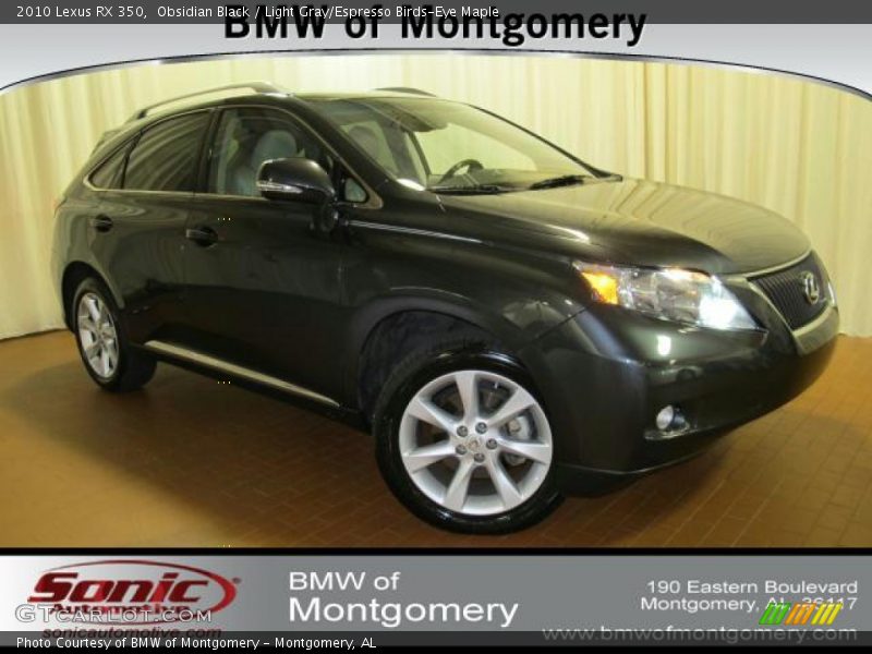 Obsidian Black / Light Gray/Espresso Birds-Eye Maple 2010 Lexus RX 350