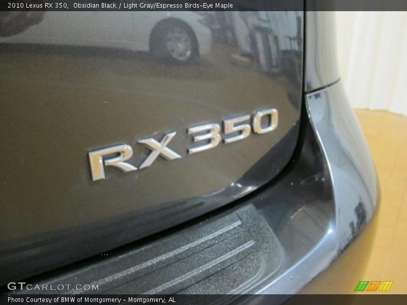 Obsidian Black / Light Gray/Espresso Birds-Eye Maple 2010 Lexus RX 350