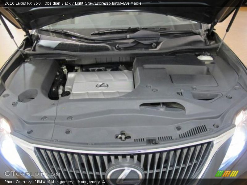 Obsidian Black / Light Gray/Espresso Birds-Eye Maple 2010 Lexus RX 350