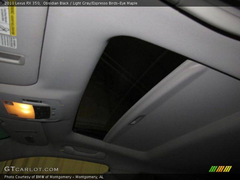 Obsidian Black / Light Gray/Espresso Birds-Eye Maple 2010 Lexus RX 350