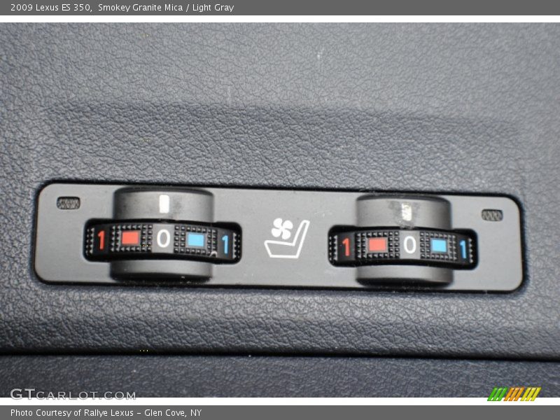 Smokey Granite Mica / Light Gray 2009 Lexus ES 350