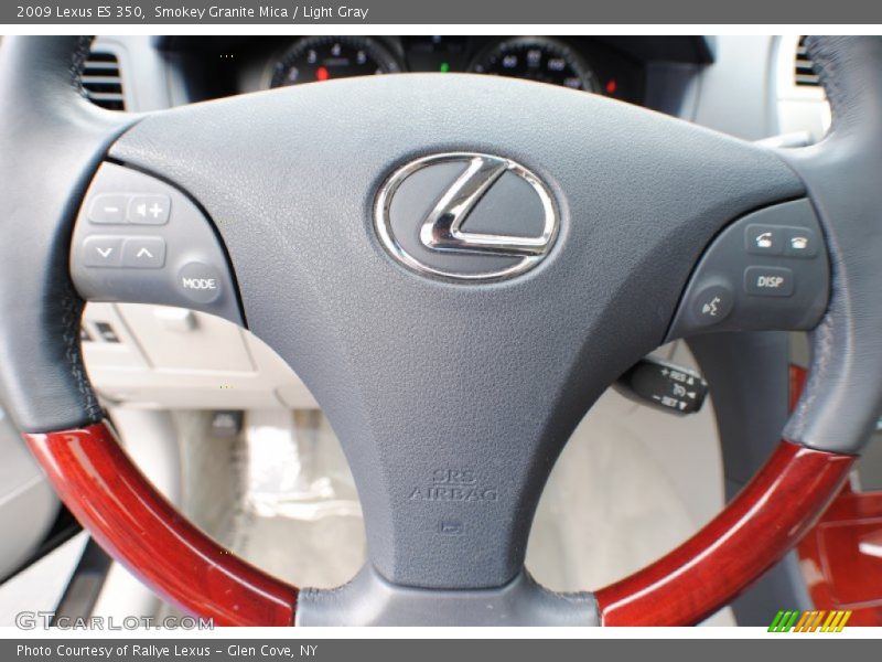 Smokey Granite Mica / Light Gray 2009 Lexus ES 350