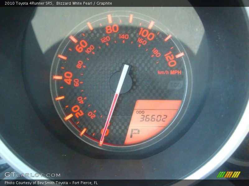 Blizzard White Pearl / Graphite 2010 Toyota 4Runner SR5