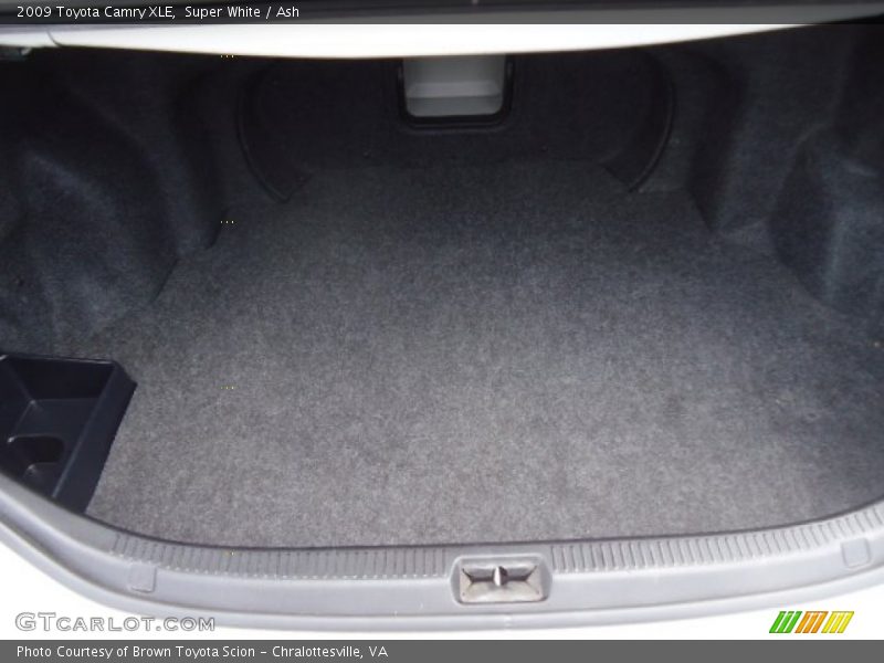 Super White / Ash 2009 Toyota Camry XLE