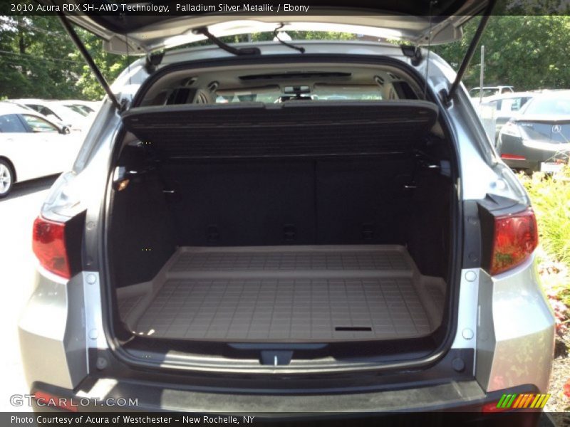 Palladium Silver Metallic / Ebony 2010 Acura RDX SH-AWD Technology