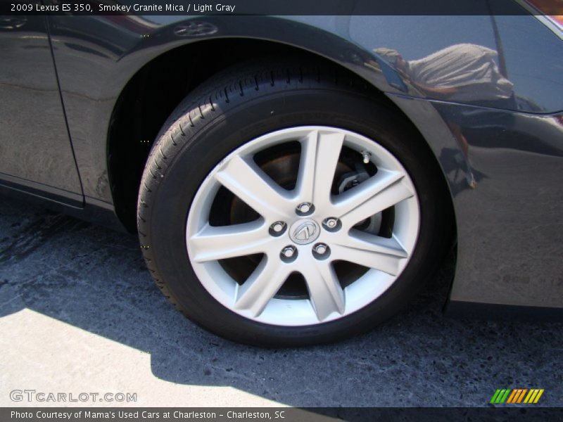 Smokey Granite Mica / Light Gray 2009 Lexus ES 350