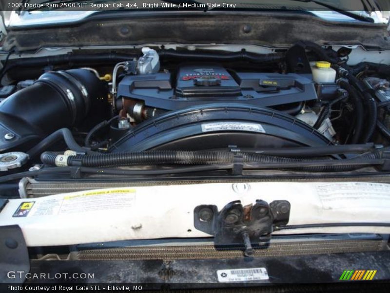 Bright White / Medium Slate Gray 2008 Dodge Ram 2500 SLT Regular Cab 4x4