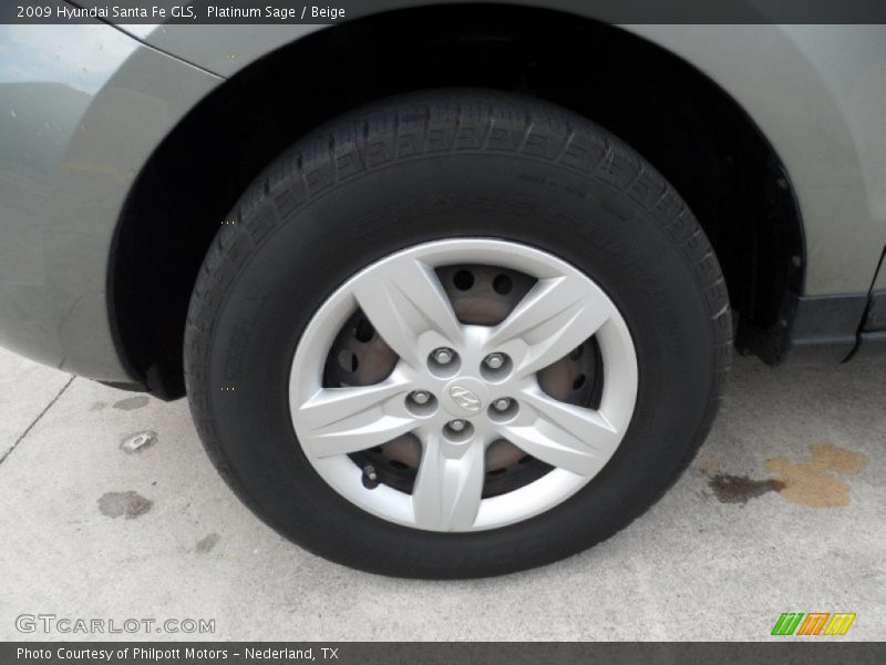 Platinum Sage / Beige 2009 Hyundai Santa Fe GLS