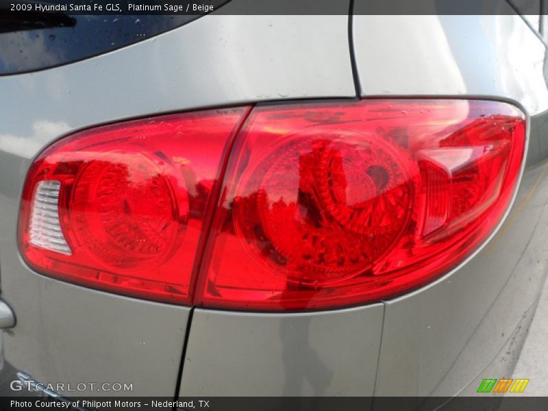 Platinum Sage / Beige 2009 Hyundai Santa Fe GLS