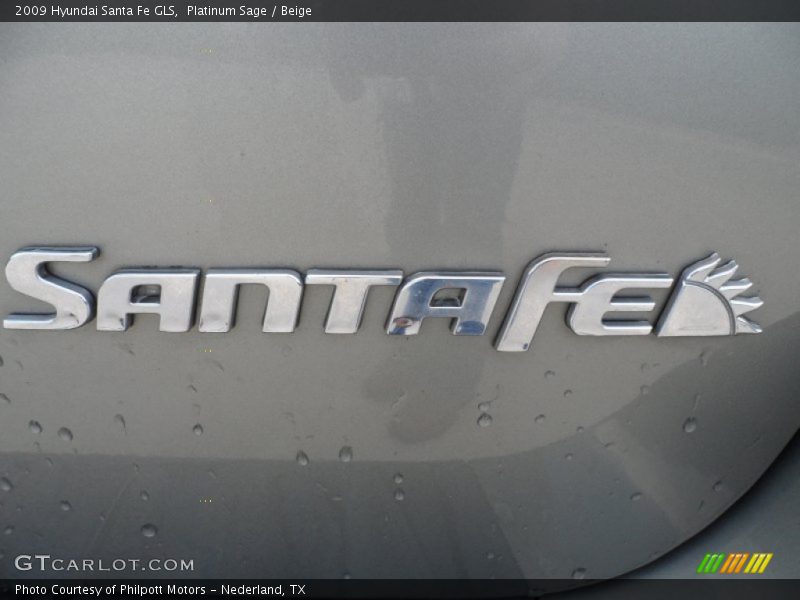 Platinum Sage / Beige 2009 Hyundai Santa Fe GLS