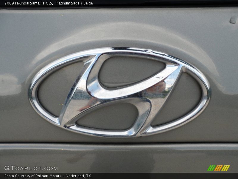 Platinum Sage / Beige 2009 Hyundai Santa Fe GLS