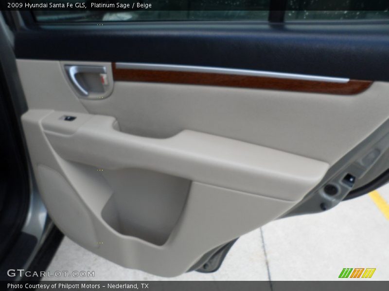 Platinum Sage / Beige 2009 Hyundai Santa Fe GLS