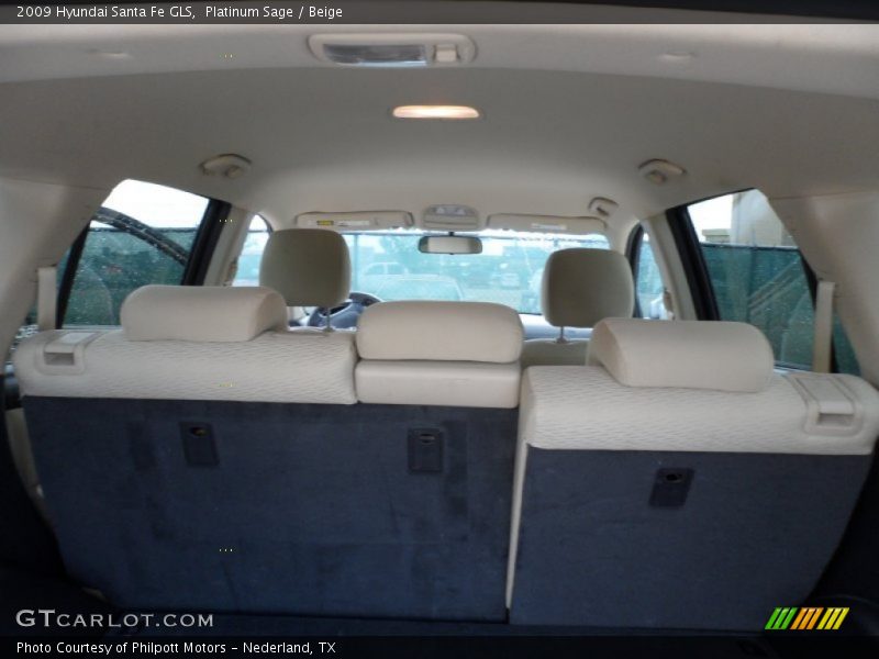 Platinum Sage / Beige 2009 Hyundai Santa Fe GLS