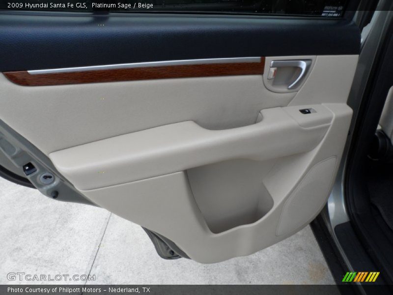 Platinum Sage / Beige 2009 Hyundai Santa Fe GLS