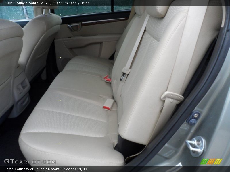 Platinum Sage / Beige 2009 Hyundai Santa Fe GLS