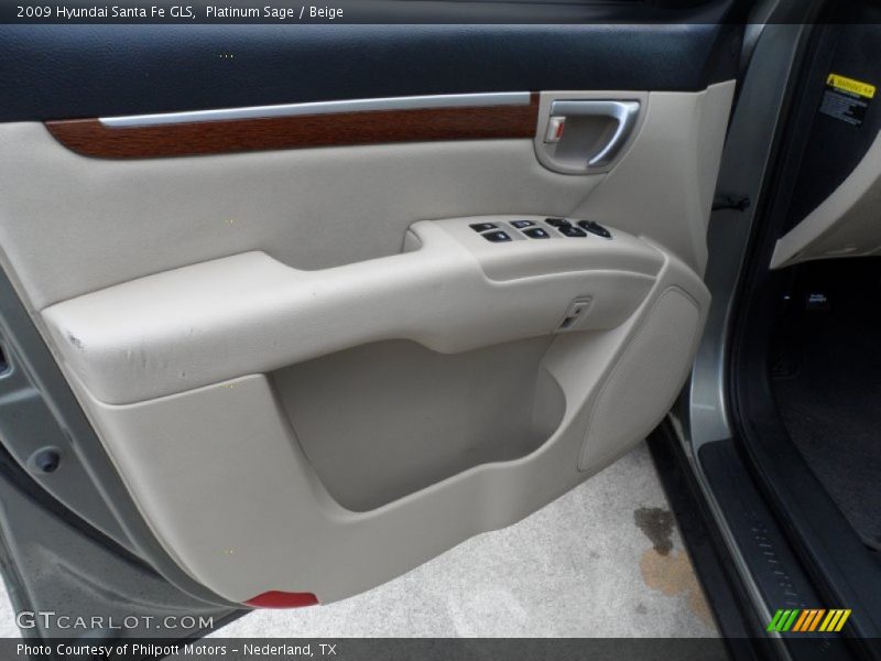 Platinum Sage / Beige 2009 Hyundai Santa Fe GLS