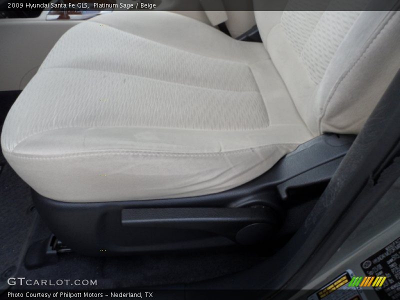 Platinum Sage / Beige 2009 Hyundai Santa Fe GLS