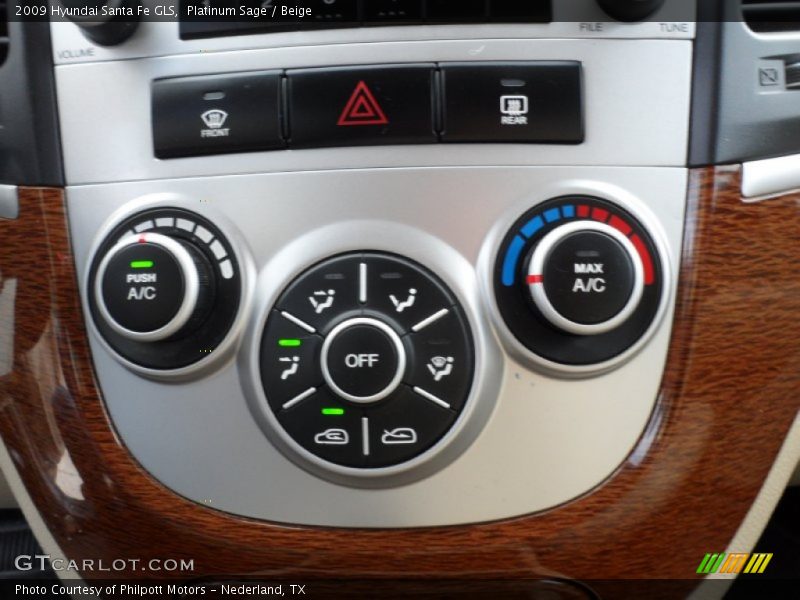 Platinum Sage / Beige 2009 Hyundai Santa Fe GLS